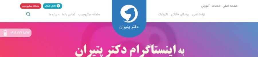 صفحه اصلی